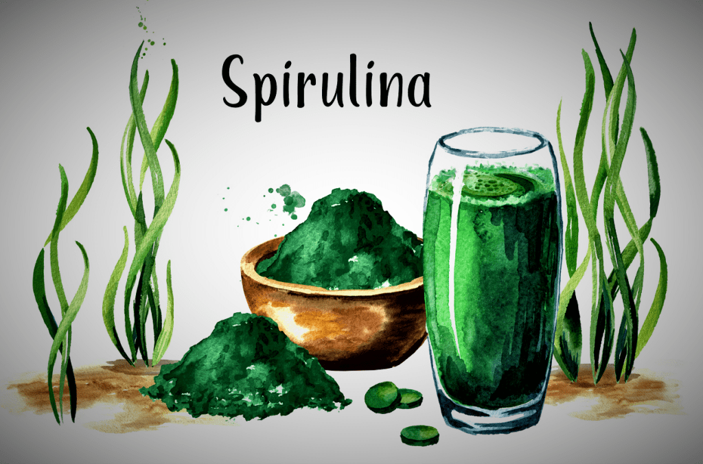 ספירולינה – מזון&nbsp;על
