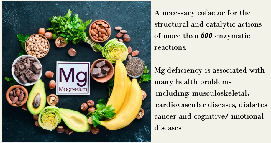 מגנזיום – magnesium