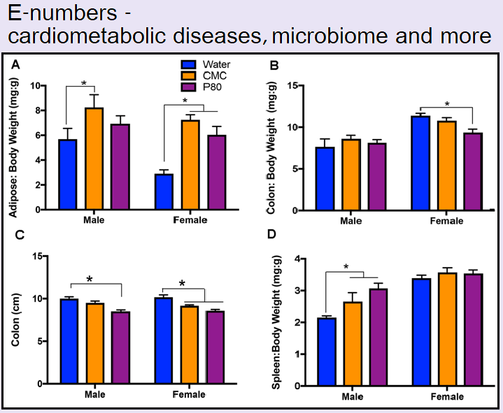 תוספי מזון -E – מחלות קרדיומטבוליות, מיקרוביום&nbsp;ועוד