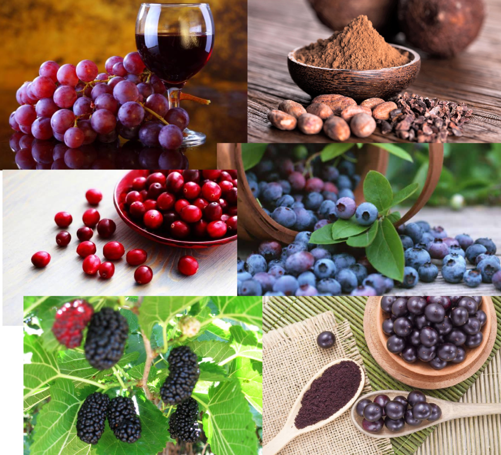 רזרבטרול – Resveratrol