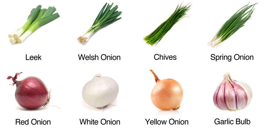 שום ובצל – נגד&nbsp;סרטן