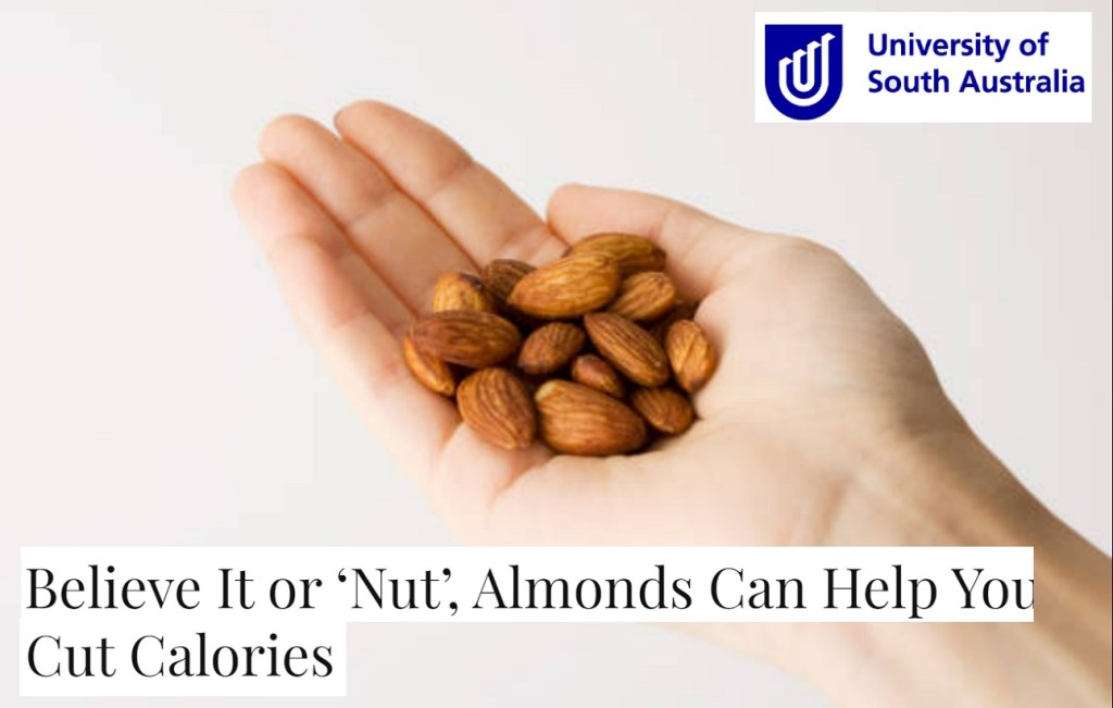 שקדים – תמיכה במשקל גוף תקין ותחושת&nbsp;שובע