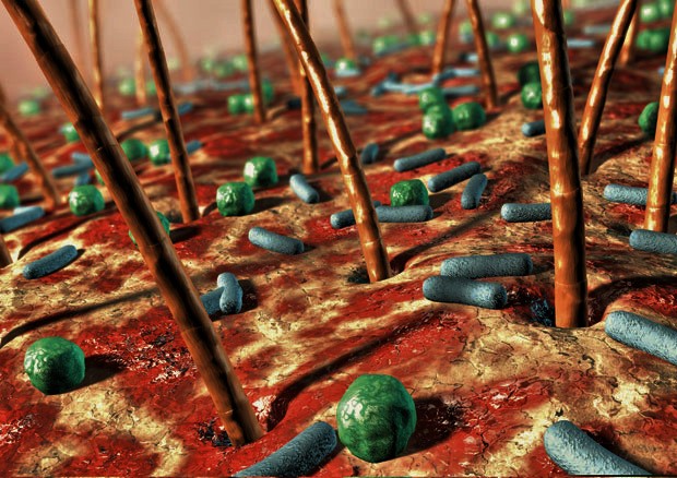 עור – ארכאונים, מיקרוביום&nbsp;וסבון