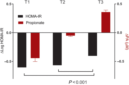 סידן פרופיונאט – E282 – השמנה&nbsp;וסוכרת