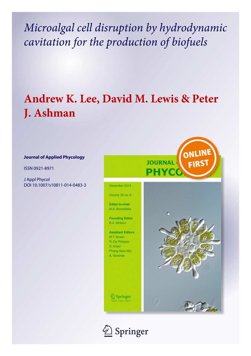 חשיבות אצות מהים למערכת העצבים ותפקודי המוח