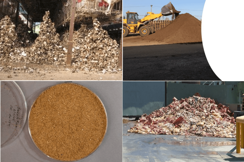 תעשיית המזון מהחי – מה מגיע&nbsp;לצלחת