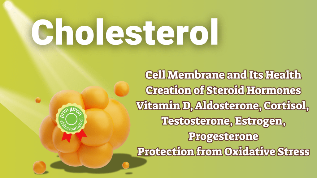 כולסטרול – מהומה על לא מאומה