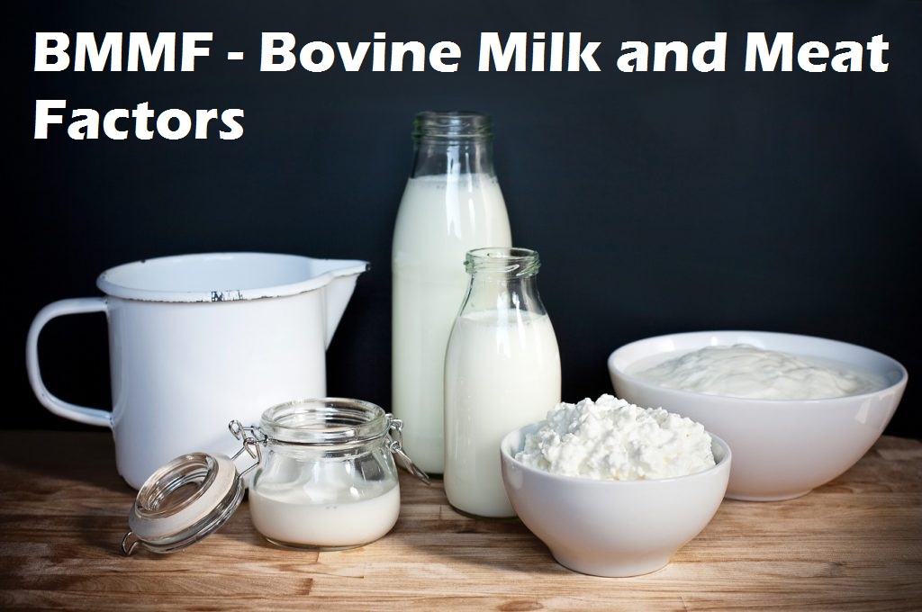 צרות חדשות מבית היוצר של הפרות –&nbsp;BMMF