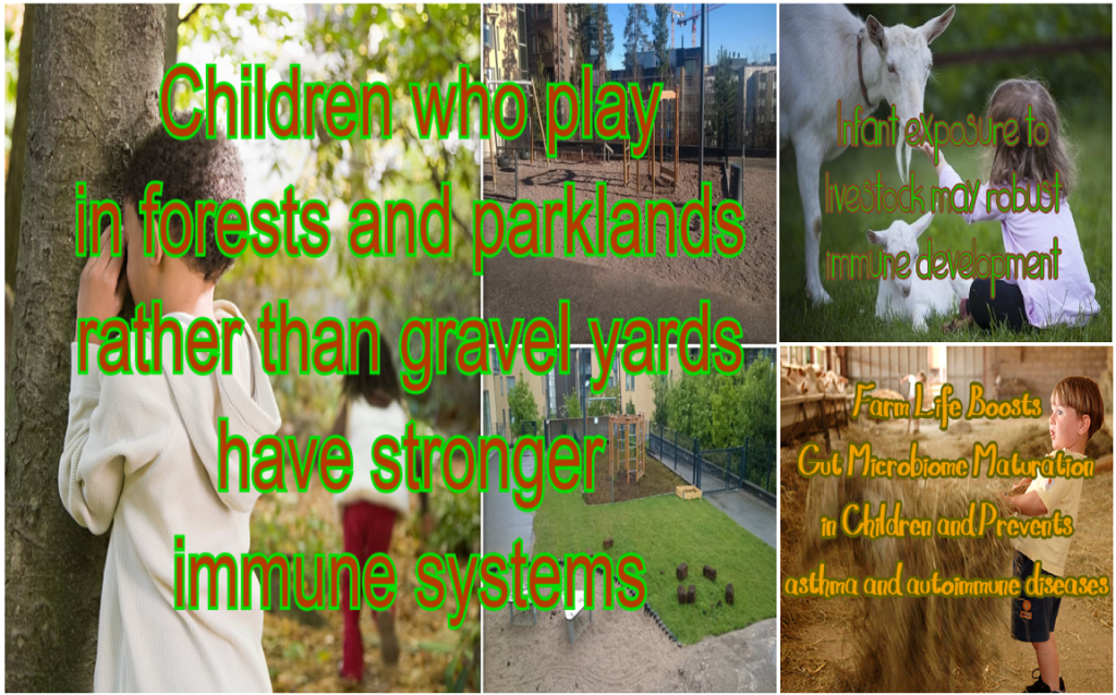 חשיפה לאדמה ולחיות משק בונה את מערכת החיסון של התינוקות ומונעת התפתחות אסתמה, אלרגיות ומחלות אוטואימוניות