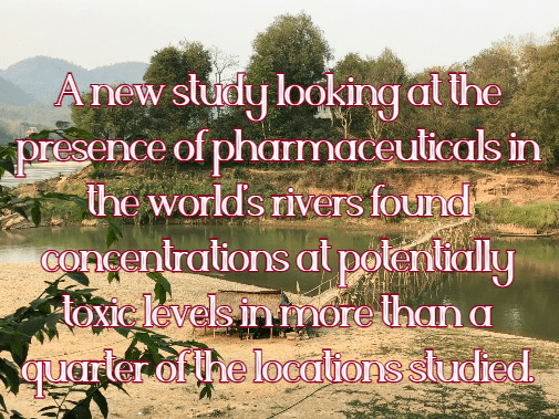 אנטיביוטיקה ותרופות נוספות בכל&nbsp;מקום