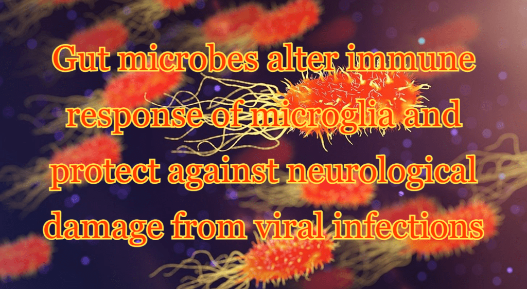 מיקרוביום ומניעת פגיעה נוירולוגית/ מוחית מ'וירוסים'&nbsp;ועוד