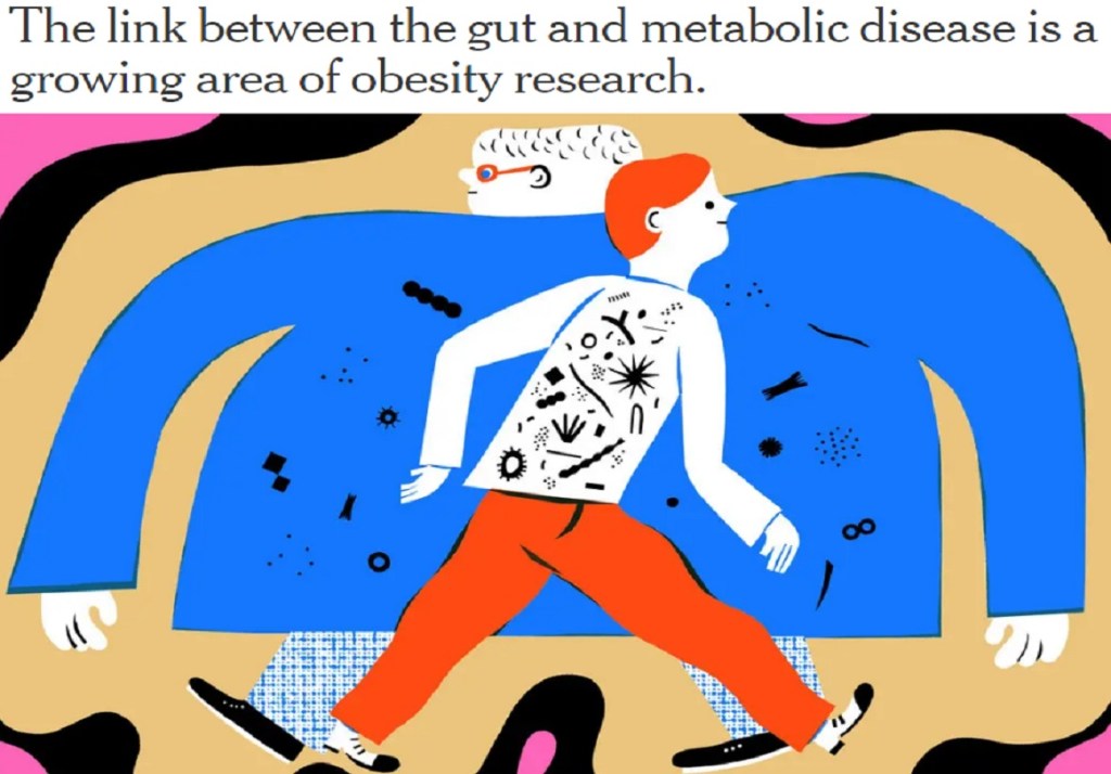 מיקרוביום והקשר לסוכרת&nbsp;והשמנה