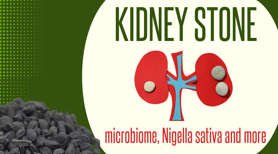 אבנים בכליות מיקרוביום, קצח ודברים&nbsp;נוספים