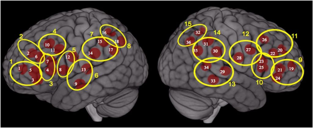 חומרי הדברה אורגנופוספאטים פוגעים באזור המוח הקוגנטיבי&nbsp;והחברתי