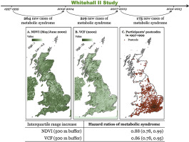 התרחקות האדם מהטבע וכיצד משפיע על הבריאות – יד מכוונת?