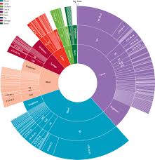 חיידקים עמידים – E.coli – איך&nbsp;ולמה