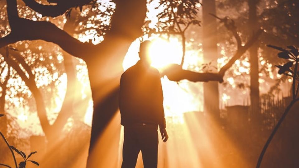 הקשר בין חשיפה לשמש ויטמין די ומיקרוביום במניעה וטיפול של&nbsp;מחלות