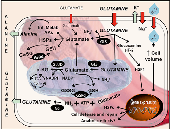 הסיבות לכאבי שרירים בעקבות שימוש&nbsp;בסטטינים