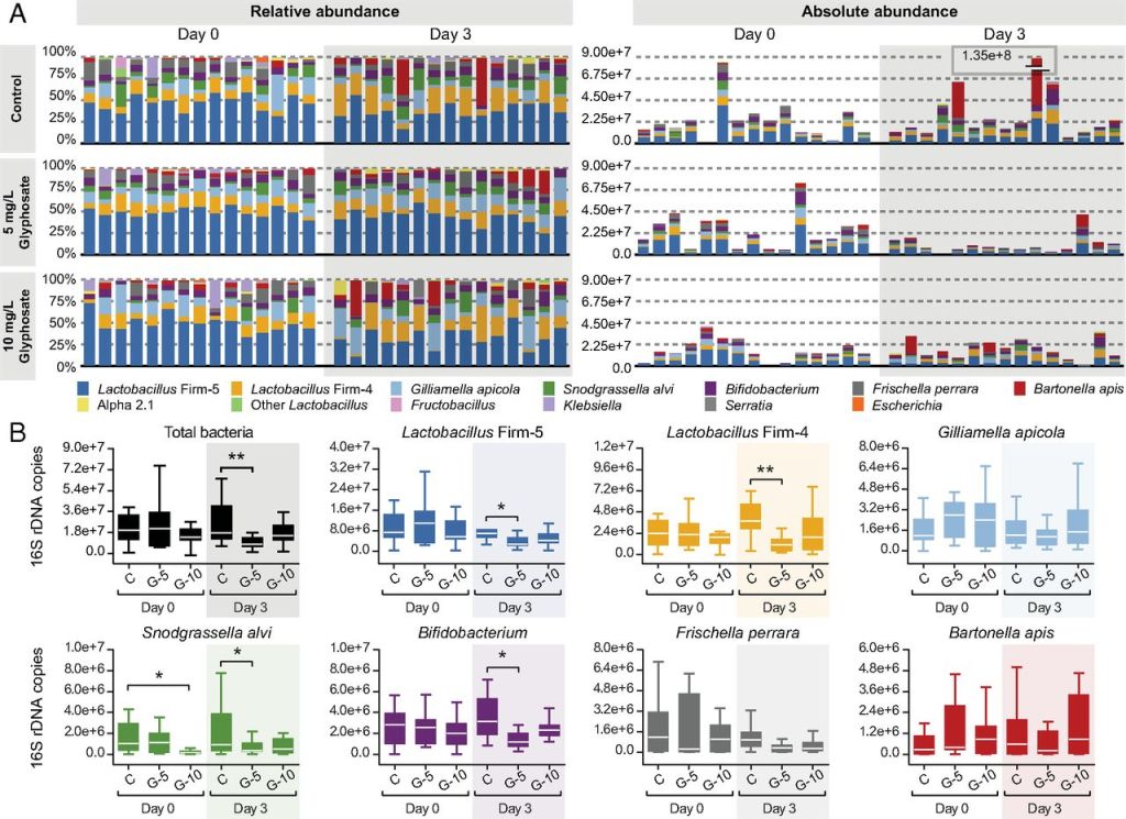 מונסנטו – גלייפוסט – תביעות&nbsp;ומיקרוביום