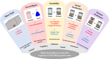 מעכבי בערה גורמים לבעיות בהתפתחות נוירולוגית וקשיים נפשיים וחברתיים לרבות ספקטרום אוטיזם