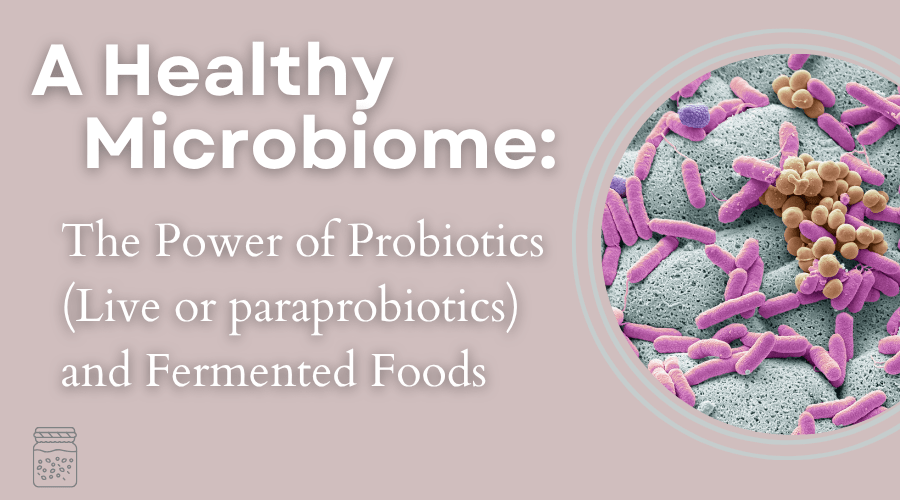 מיקרוביום בריא: כוחה של פרוביוטיקה (חיה או מומתת) ומזונות מותססים