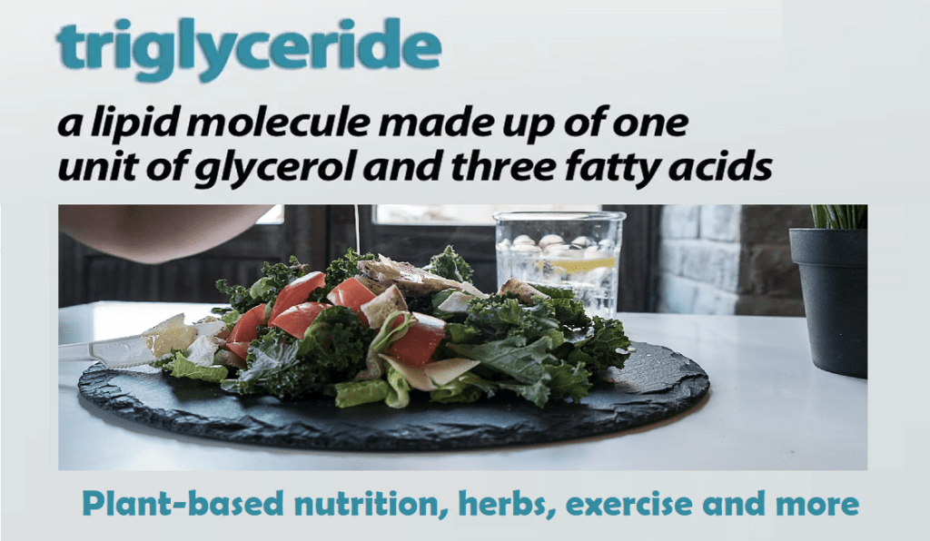 תזונה מבוססת צומח –&nbsp;טריגליצרידים