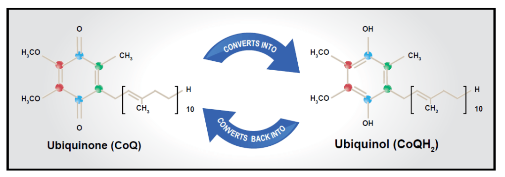 קו אנזים קיו&nbsp;10