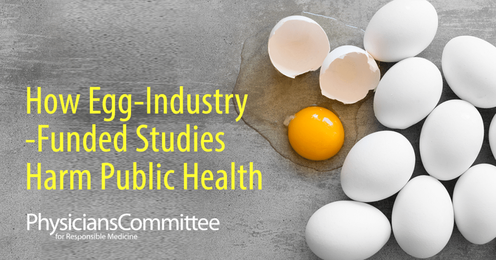 פייק ניוז גם במחקרים על&nbsp;ביצים