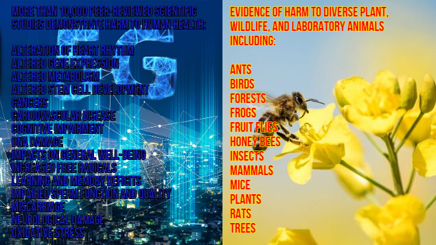 קרינה אלקטרו מגנטית – דור 5&nbsp;(5G)