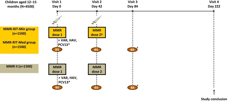 כך מאשרים חיסון MMR&nbsp;חדש