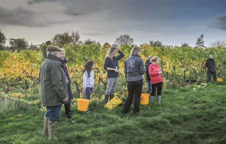 אקותרפיה – גוף נפש&nbsp;וטבע