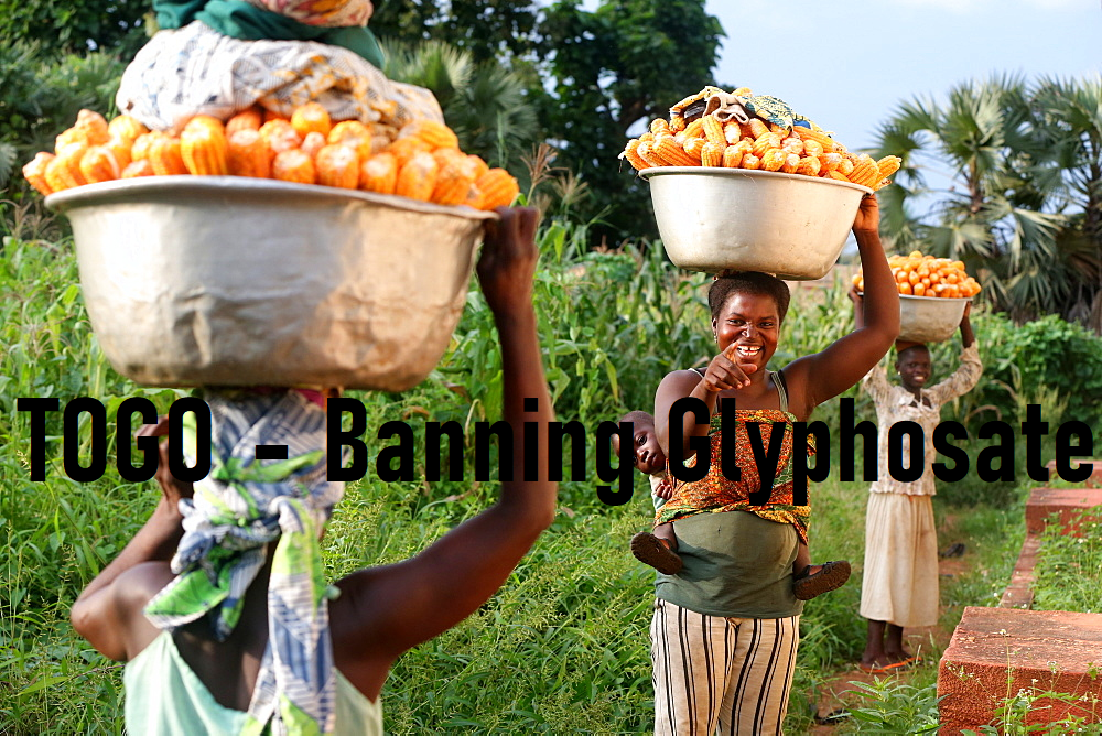 גלייפוסט – מי הן המדינות שאוסרות על&nbsp;השימוש