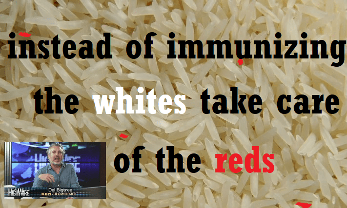 הגיע הזמן לדאוג באמת למדוכאי מערכת החיסון ולהפסיק להשתמש בהם כתירוץ ל"חיסון&nbsp;עדר"