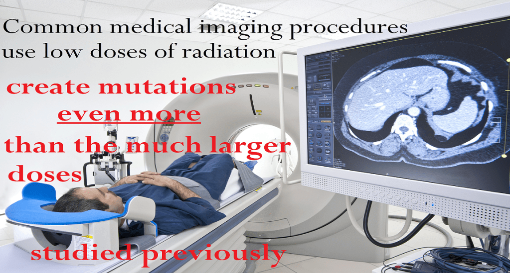 בדיקות הדמיה – קרינה&nbsp;מייננת