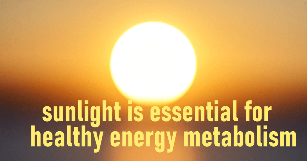 תאי שומן חשים את אור השמש, התומך בחילוף חומרים&nbsp;בריא