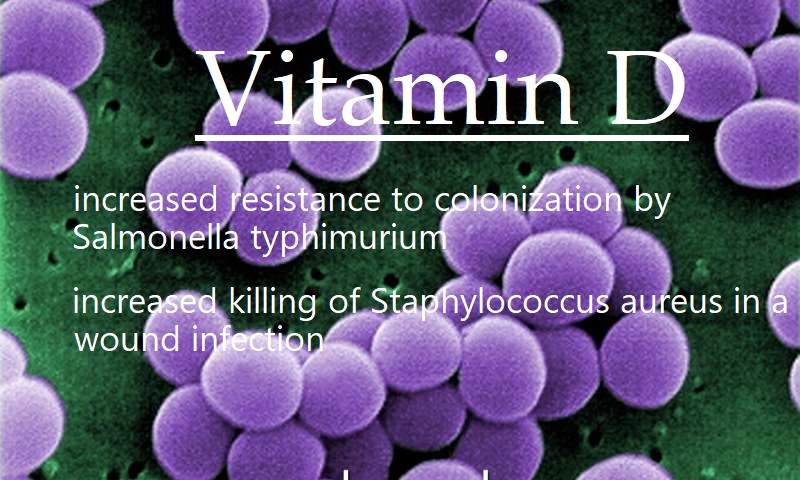 ויטמין די בעל חשיבות חיסונית כנגד סלמונלה&nbsp;וסטפילוקוק