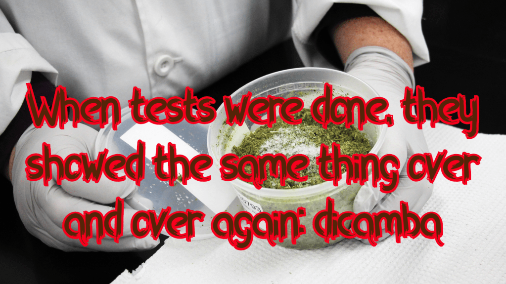 קוטלי עשבים (דיקמבה) – עמידות, נזקים, מי מרוויח ומי משלם