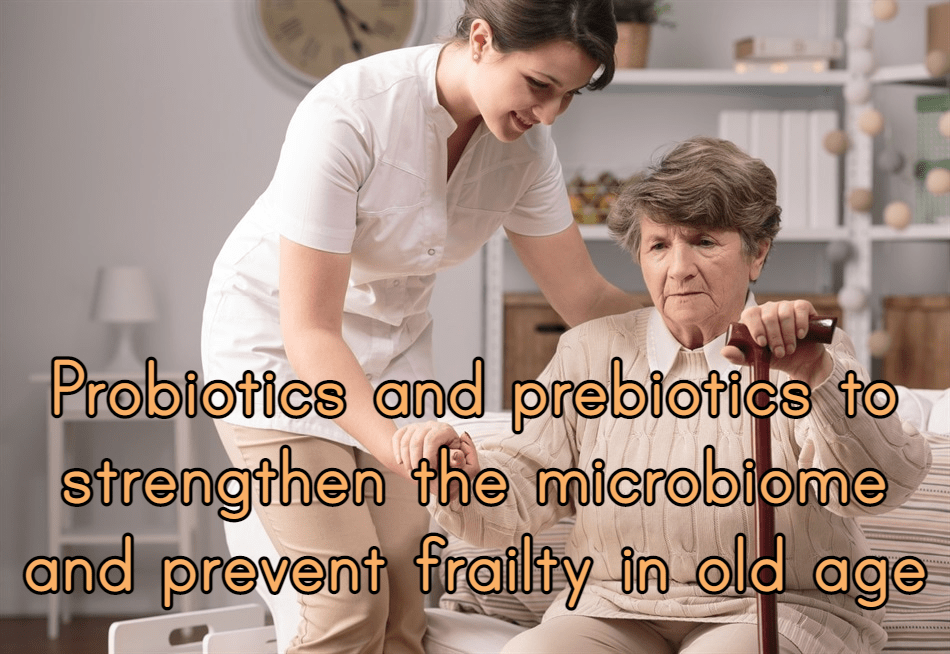 פרוביוטיקה ופרהביוטיקה לחיזוק המיקרוביום ומניעת שבריריות בגילאים&nbsp;מאוחרים