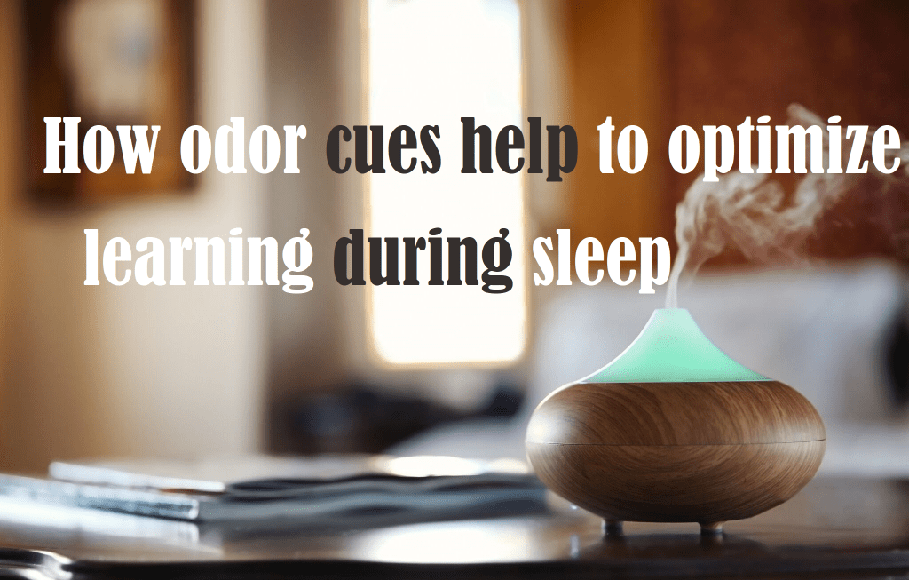 ריח משפר זיכרון במהלך השינה
