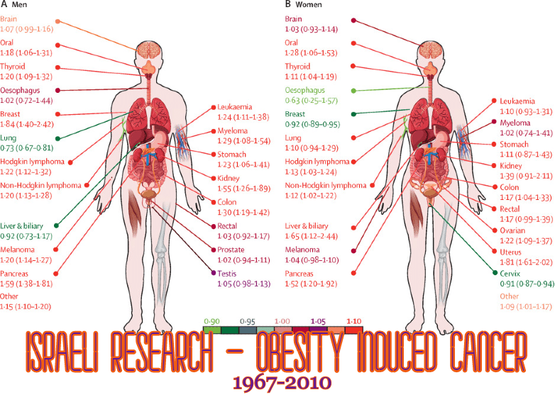 מחקר ישראלי ענק מצא קשר בין השמנת יתר לסרטנים&nbsp;שונים