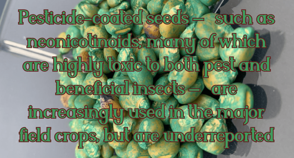 מרבית החקלאים לא יודעים אילו חומרים נמצאים בזרעים אותם הם שותלים – זרעים&nbsp;מטופלים