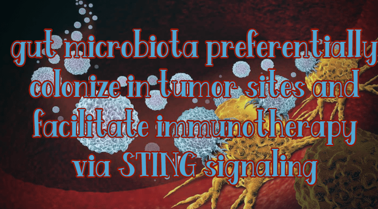 הטיפול האימונותרפי או החיידק ששמו&nbsp;ביפידובקטריום