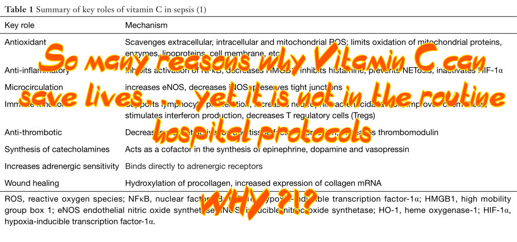 ויטמין סי – בואו נבין סופית את חשיבותו למערכת החיסון&nbsp;ובכלל