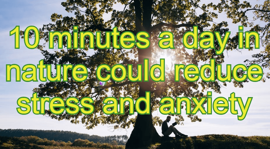 גם מעט זמן בטבע משפר את בריאות הנפש אצל סטודנטים במצבי סטרס, חרדות&nbsp;ודיכאון