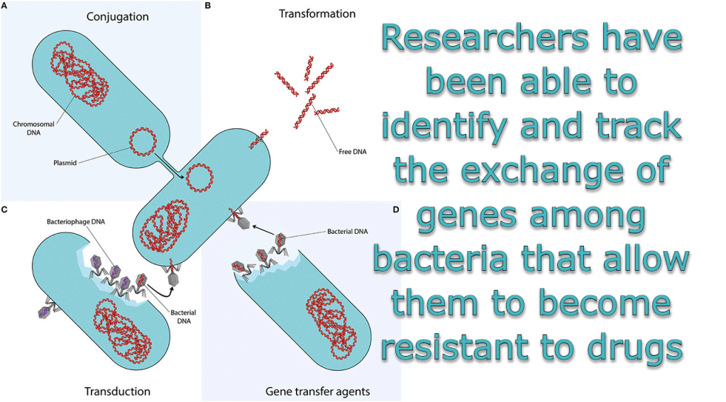 חיידקים עמידים והטכנולוגיה שלהם – הטבע חזק יותר מכל מניפולציה&nbsp;רפואית
