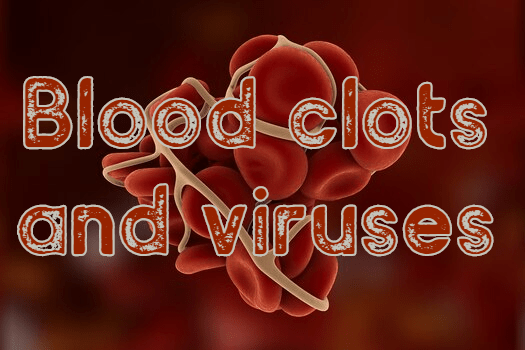 לטסיות הדם חשיבות גדולה בתגובה חיסונית. הבעיה מתחילה כשהמערכת נחשפת למזהם סביבתי באופן כרוני