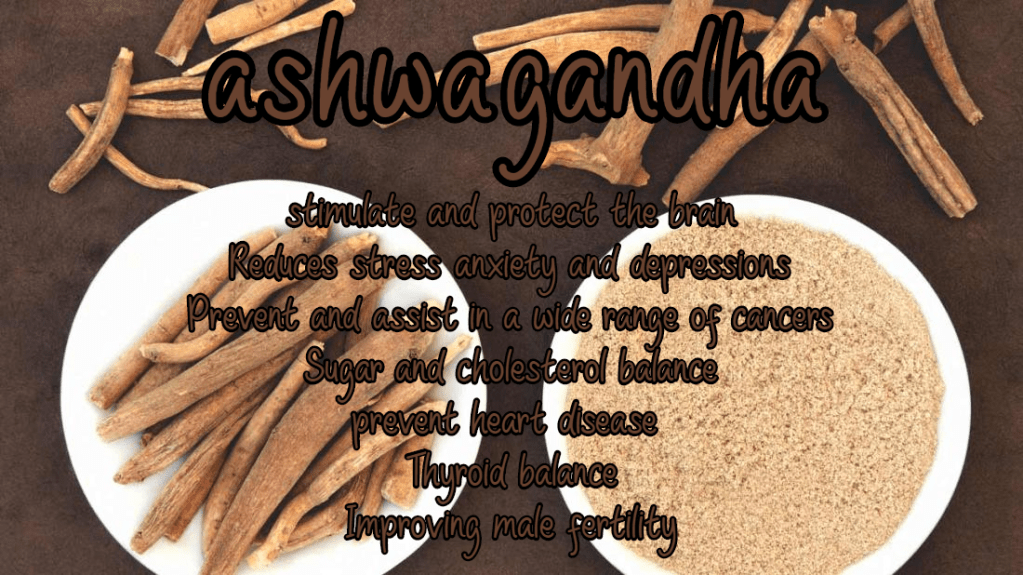 אשווגנדה – סטרס קוגניציה&nbsp;ועוד