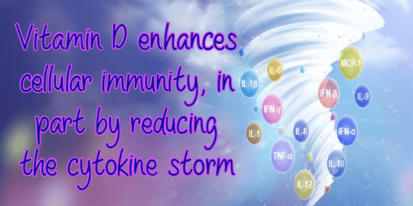 ויטמין די – מכניזם כנגד וירוסים לרבות שפעת וקוביד-19… חובה לכל תסמין&nbsp;נשימתי