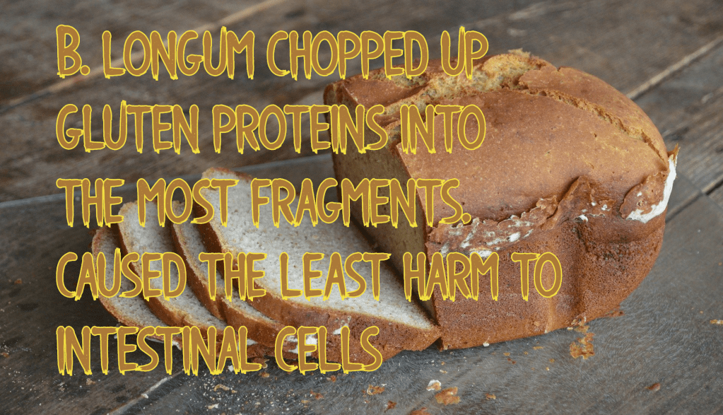 צליאק (רגישות לגלוטן) –&nbsp;פרוביוטיקה