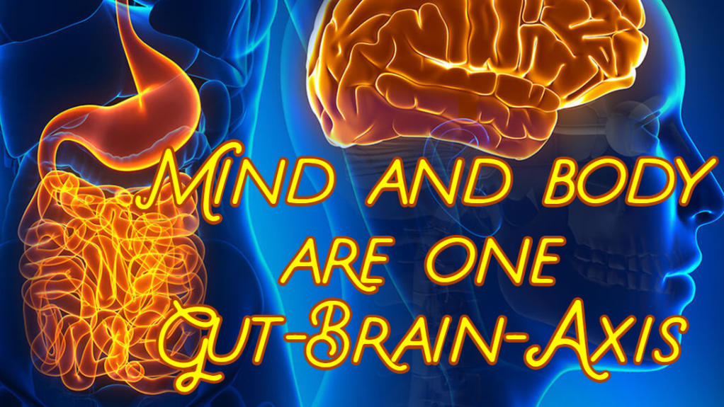 הקשר בין המוח והנפש למיקרוביום –&nbsp;Gut-Brain-Axis